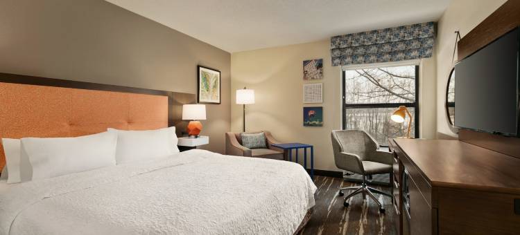 宾厄姆顿/约翰逊城希尔顿欢朋酒店(Hampton Inn Binghamton/Johnson City)图片