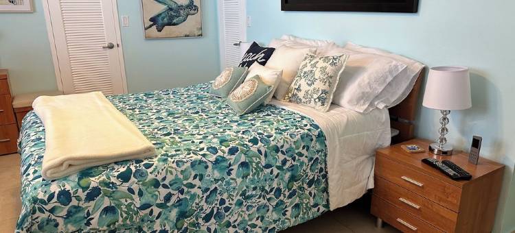 美丽海滨公寓(2卧2卫分隔式户型，正面海景)，免费停车(Beautiful beachfront condo 2-2 split plan with ocean front views. Free Parking)图片