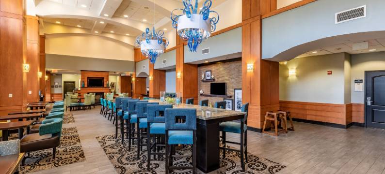 奥兰多南布埃纳维斯塔湖欢朋套房酒店(Hampton Inn & Suites Orlando-South Lake Buena Vista)图片