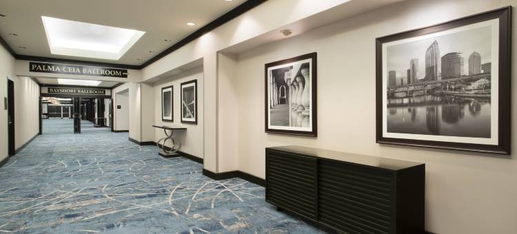 坦帕市中心希尔顿酒店(Hilton Tampa Downtown)图片