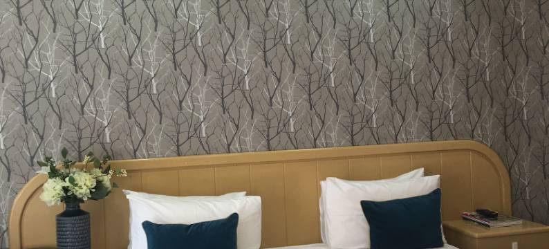 维洛奇汽车旅店(Village Motel)图片