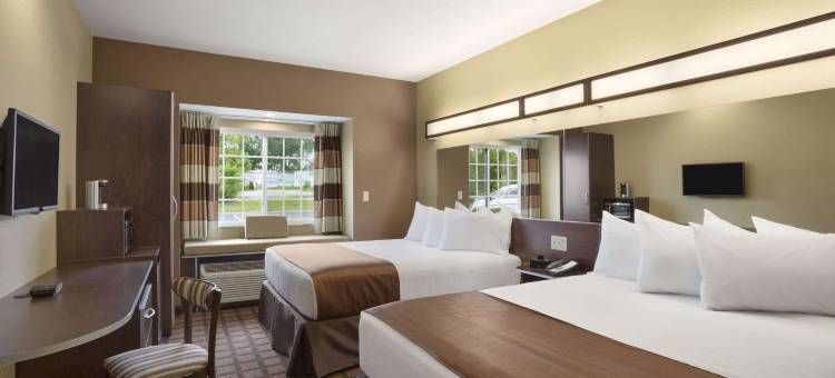卡罗尔顿麦客达套房酒店(Microtel Inn & Suites by Wyndham Carrollton)图片