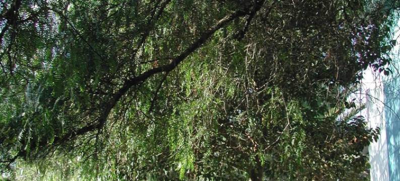 德尔玛尔水疗酒店(Del Mar Hotel & Spa)图片