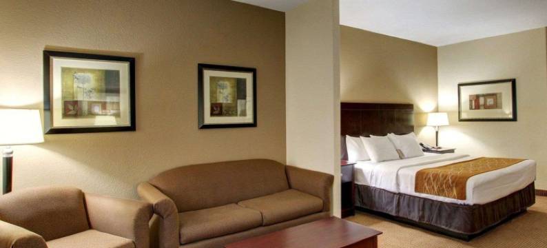 舒适套房酒店(Comfort Inn & Suites)图片
