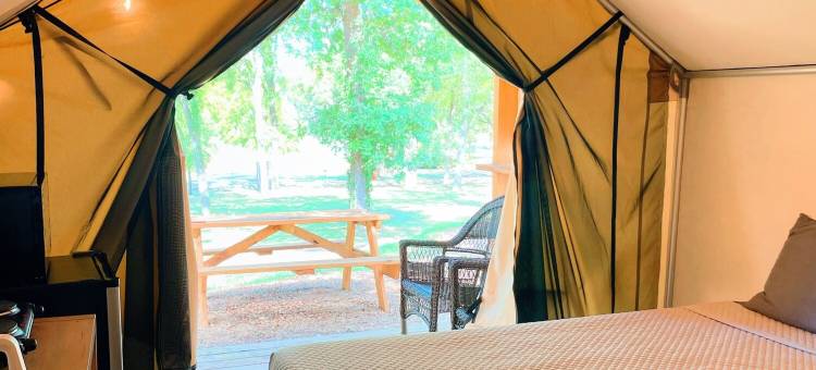 Son's蓝河营地露营小屋I(Son's Blue River Camp Glamping Cabin I)图片