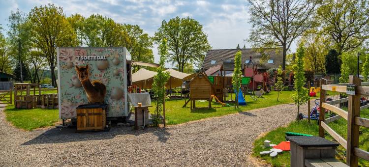 肯彭欧洲公园酒店(EuroParcs Hoge Kempen)图片