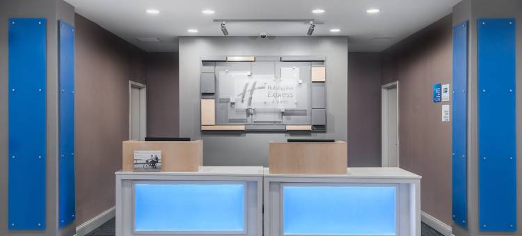 佛罗伦萨95号州际公路和20号州际公路市民中心智选假日酒店(Holiday Inn Express & Suites Florence I-95 & I-20 Civic Ctr)图片