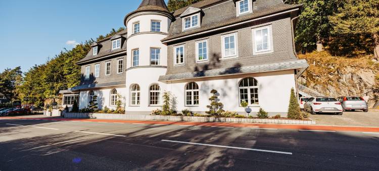 布里隆瓦尔德城堡酒店(Schlosshotel Brilon-Wald - Hostel)图片