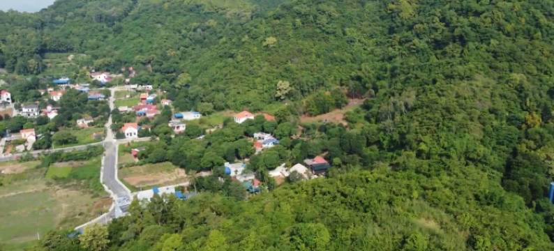 幸运蜂民宿(Bee Lucky Homestay)图片