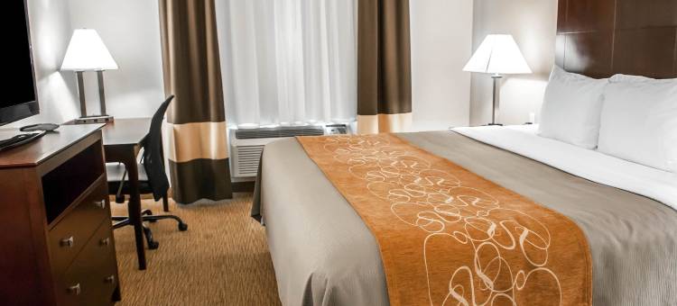 阿尔伯克基北气球嘉年华公园舒适套房酒店(Comfort Suites Albuquerque-North Journal Center)图片