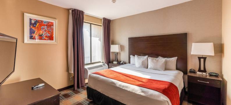 舒适套房酒店-休斯顿西克莱路(Comfort Suites Houston West at Clay Road)图片