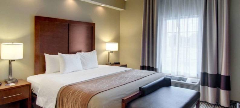 舒适酒店(Comfort Inn West Monroe Near Sports & Events Center)图片