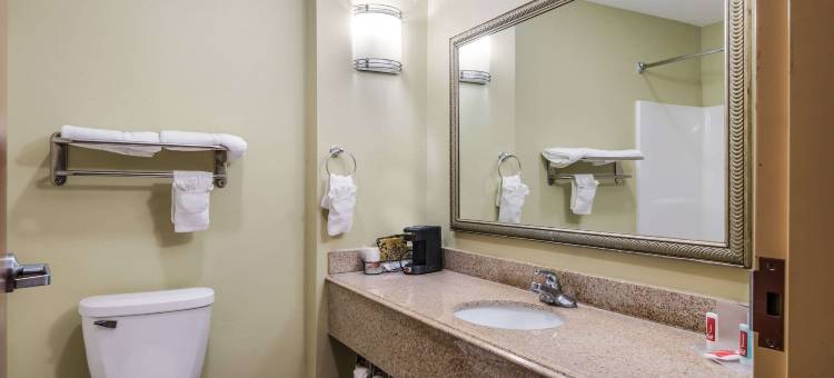 小石城西南伊克诺套房酒店(Econo Lodge Inn & Suites Little Rock SW)图片