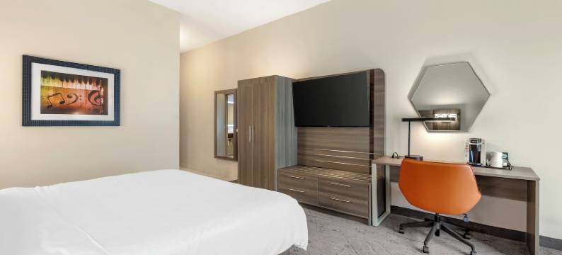 智选假日套房酒店纳什维尔口岸(Holiday Inn Express & Suites NASHVILLE SOUTHEAST - ANTIOCH by IHG)图片