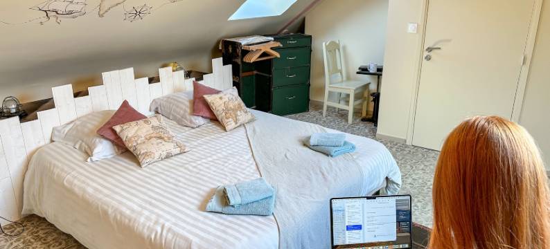 杜格雷尼尔住宿加早餐旅馆(Domaine du Grenier)图片