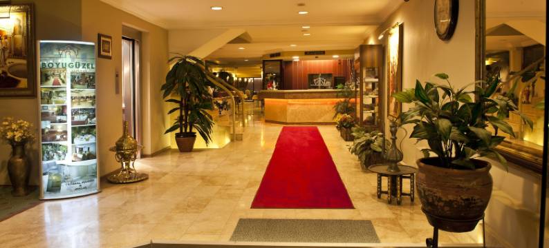 布伊泽尔特莫酒店(Boyuguzel Termal Hotel)图片