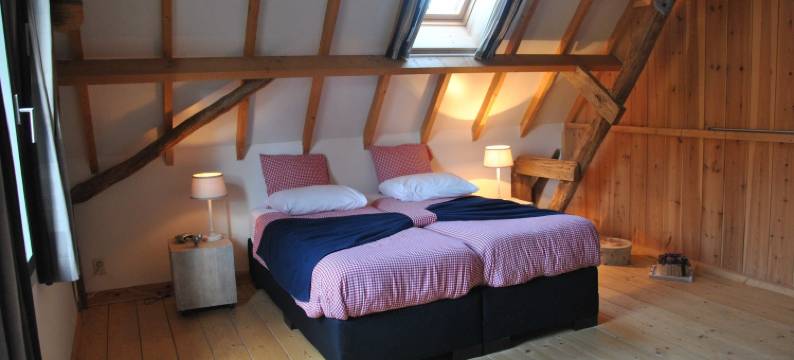 登黑德莱康提旅馆(Erfgoed & Logies Den Heijkant)图片