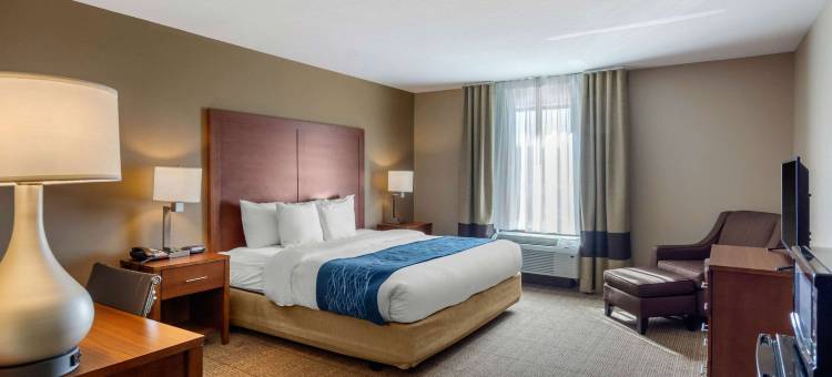 南切斯特菲尔德-科隆尼尔海次舒适酒店(Comfort Inn South Chesterfield - Colonial Heights)图片