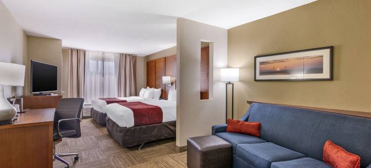 布伦瑞克舒适酒店(Comfort Suites Brunswick)图片