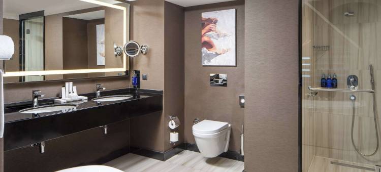 丽笙蓝标酒店-瑞格兰(Radisson Blu Leogrand Chisinau)图片