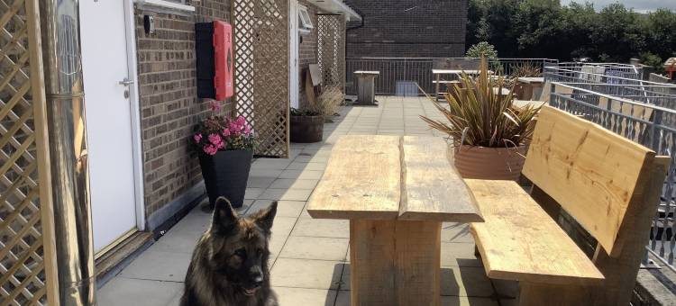 特拉斯房间(Traeth Rooms)图片