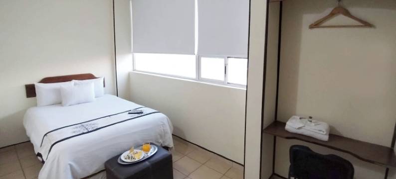 马特奥斯1215酒店(Hotel Mateos 1215)图片