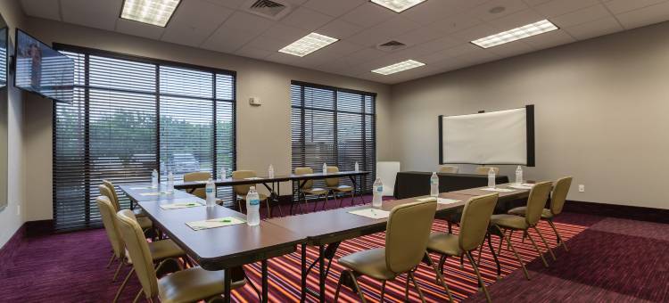 圣马科斯会展中心区域假日酒店(Holiday Inn San Marcos-Convention Ctr Area)图片