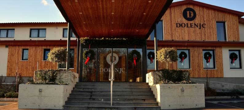 多伦吉克酒店(Hotel Dolenjc)图片
