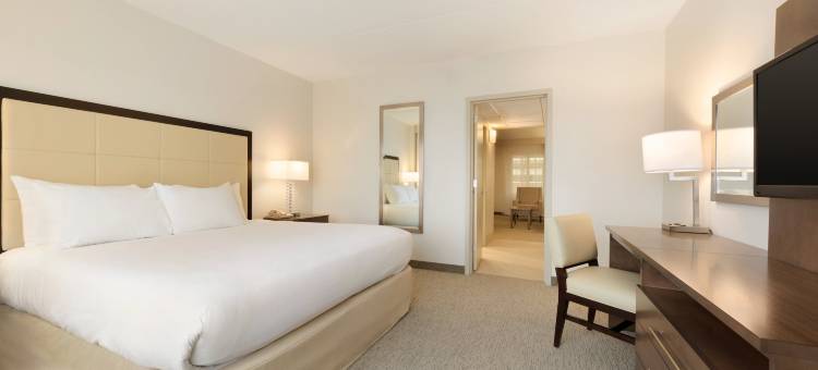 布鲁克菲尔德密尔沃基希尔顿安泊酒店(Embassy Suites by Hilton Milwaukee Brookfield)图片