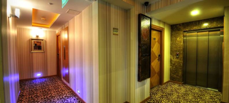 金色豪华酒店(Golden Deluxe Hotel)图片