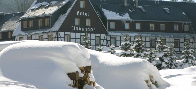 林登霍夫自然酒店(Naturhotel Lindenhof)图片