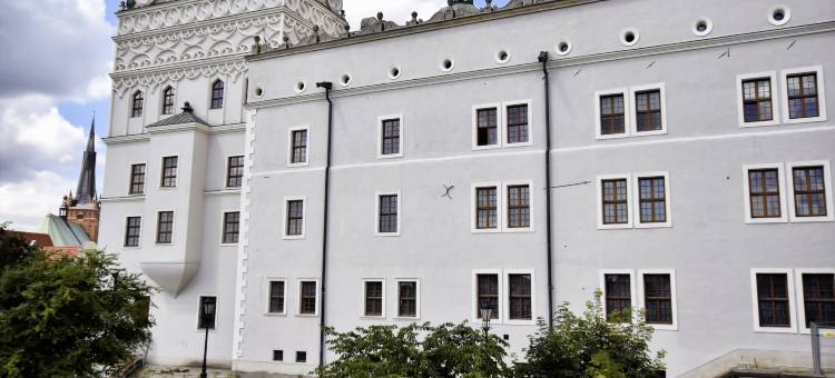 城堡中心酒店(Hotel Zamek Centrum)图片