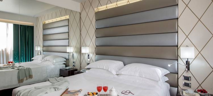 尼雅酒店(Enea Hotel Pomezia)图片