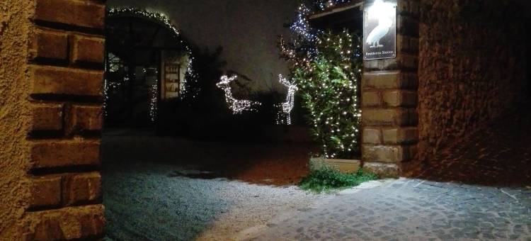 屈威特历史住宅酒店(Residenza Storica le Civette)图片