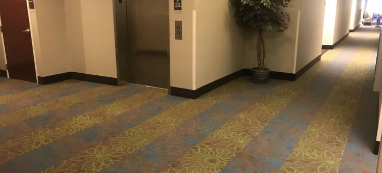 舒眠酒店罗利达拉姆机场(Sleep Inn Raleigh Durham Airport)图片