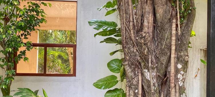 彼德拉阿瓜帕伦克酒店(Piedra de Agua Palenque)图片