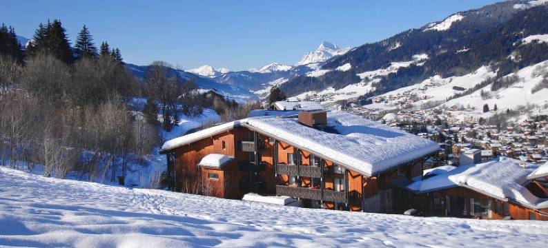 梅杰夫马米耶住宅(Mamie Megève)图片