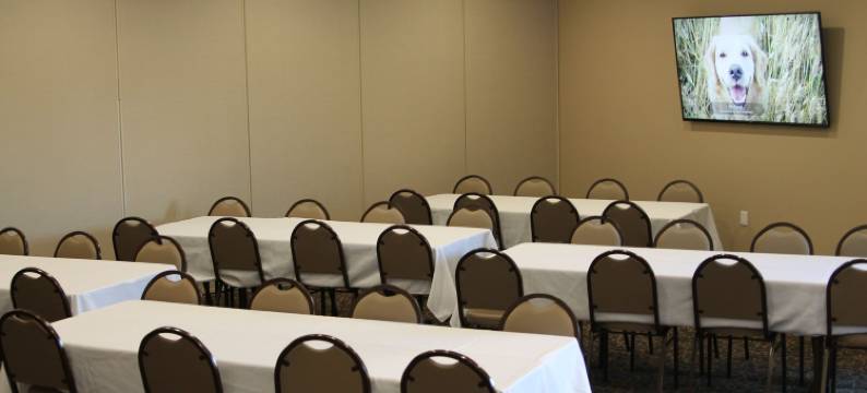 鹅卵石套房酒店-麦迪逊堡(Cobblestone Inn & Suites Fort Madison)图片