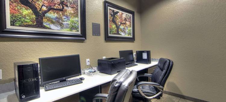 西沃思堡舒适套房酒店(Comfort Inn & Suites, White Settlement-Fort Worth West, TX)图片