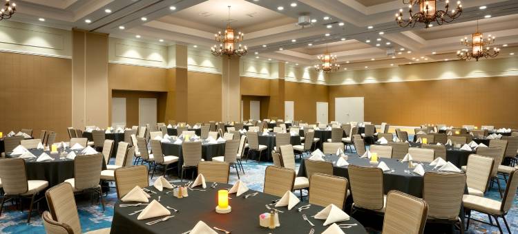 图森东希尔顿酒店(Hilton Tucson East)图片