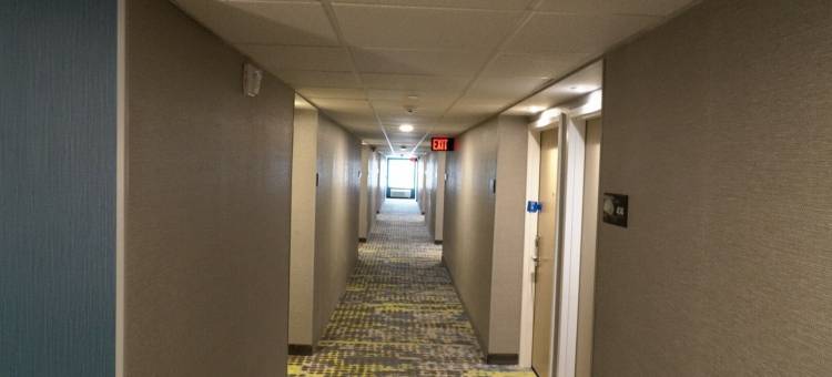 本顿维尔—罗吉斯欢朋酒店(Hampton Inn Bentonville/Rogers)图片