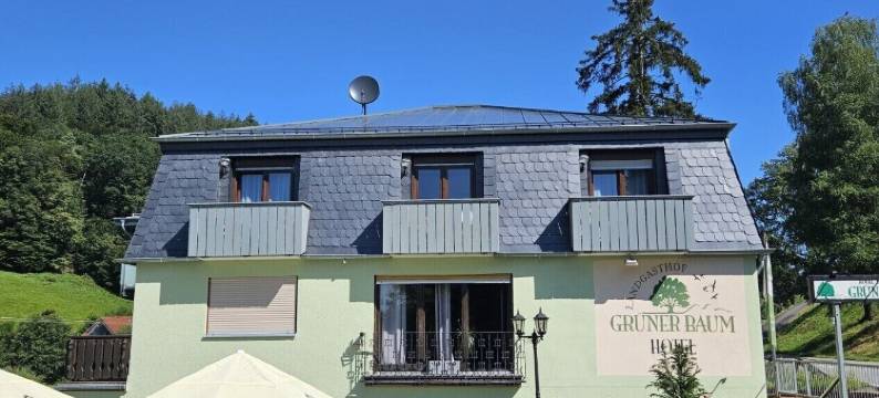 格鲁纳鲍姆乡村酒店(Hotel Grüner Baum Mit Restaurant & Wellness)图片