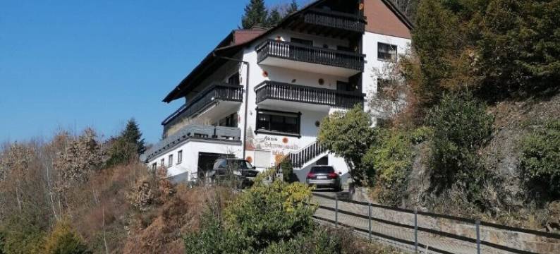 膳宿公寓施瓦茨瓦尔德景观(Pension Schwarzwaldblick)图片