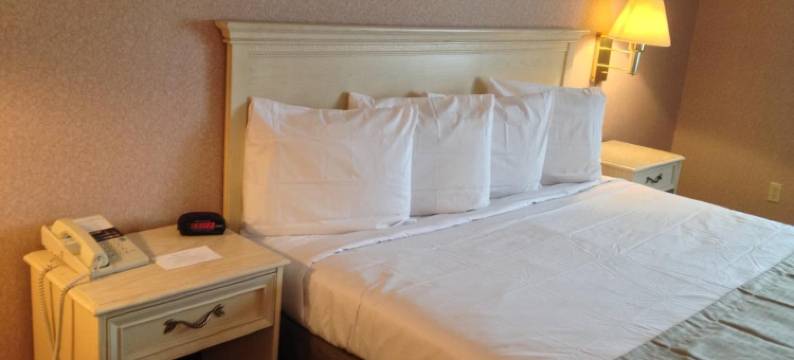 布里奇维尤帕克赛德旅馆(Parkside Inn Bridgeview)图片