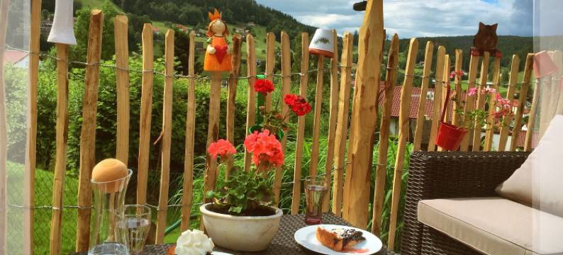 里德尔旅馆(Gästehaus Riedl)图片