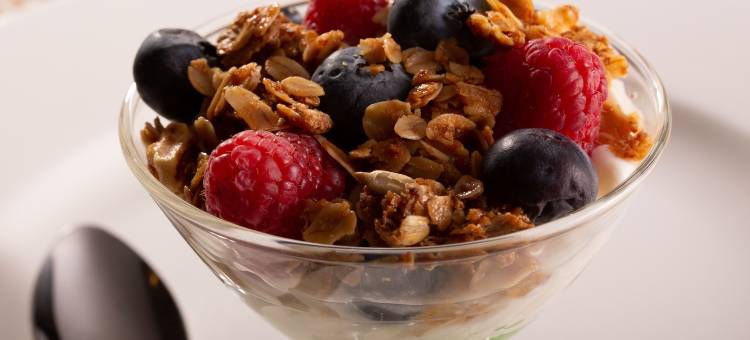 奥克伍德旅馆奥科博吉 - 限成人(The Oakwood Inn Okoboji)图片