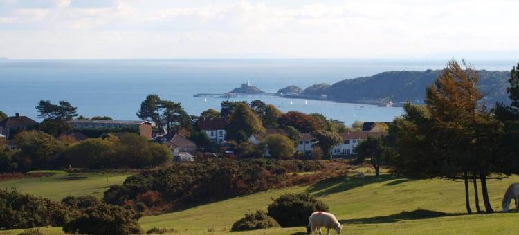 苏美尔菲尔德酒店(Somerfield Lodge)图片