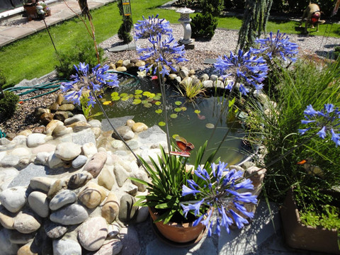 圣雅各布之狼住宿加早餐酒店