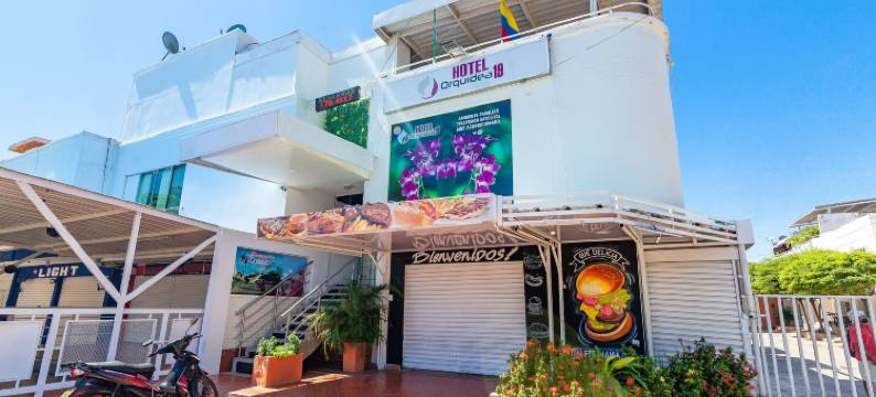 Ayenda兰花19(Ayenda Orquidea 19)图片