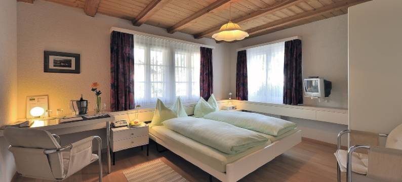 林德斯泰莱赛米娜酒店(Seminarhotel Linde Stettlen)图片